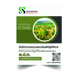 นักวิชาการตรวจสอบบัญชี