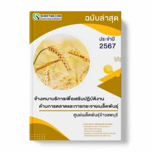 แนวข้อสอบ จ้างเหมาบริการเพื่อเสริมปฏิบัติงานด้านการตลาดและการกระจายเมล็ดพันธุ์ ศูนย์เมล็ดพันธุ์ข้าวลพบุรี